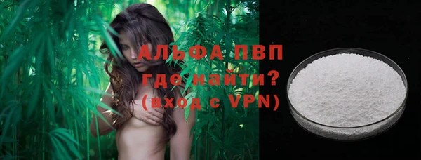 гидра Дмитров