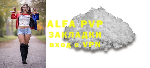 гидра Дмитров