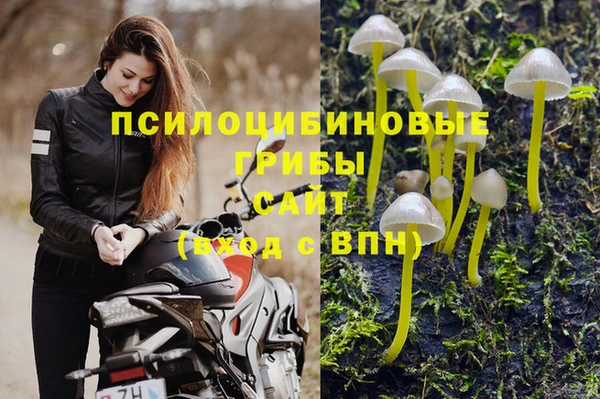 гидра Дмитров