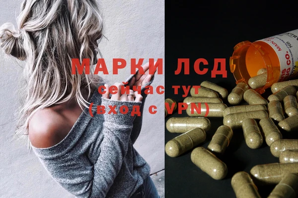 гидра Дмитров