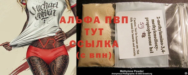 гидра Дмитров