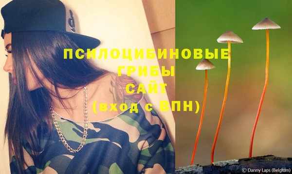 гидра Дмитров
